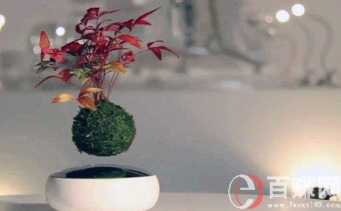 摆地摊有什么新奇产品?这几个你见过吗? 第5张
