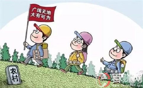 八个适宜在农村创业致富的项目!赶紧来看看! 第1张