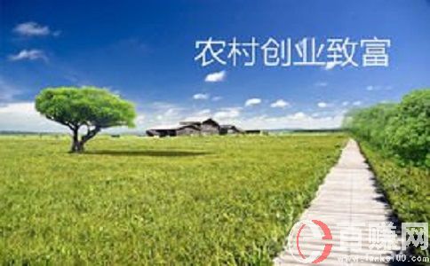 八个适宜在农村创业致富的项目!赶紧来看看! 第2张