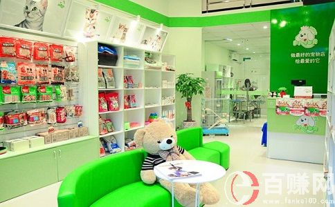 宠物店投资创业方案,关于开店前期需要投资的费用! 第1张 宠物店投资创业方案,关于开店前期需要投资的费用! 第1张