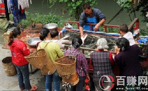 金旋风网赚:做生意，懂得营销,你就成功了一半。