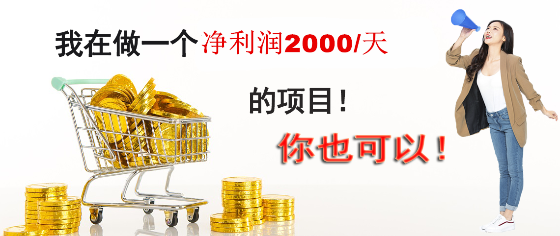 我在做一个净利润2000/天的项目!你也可以!